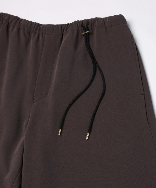 Triacetate Airy Cloth Drawstring Wide Pants