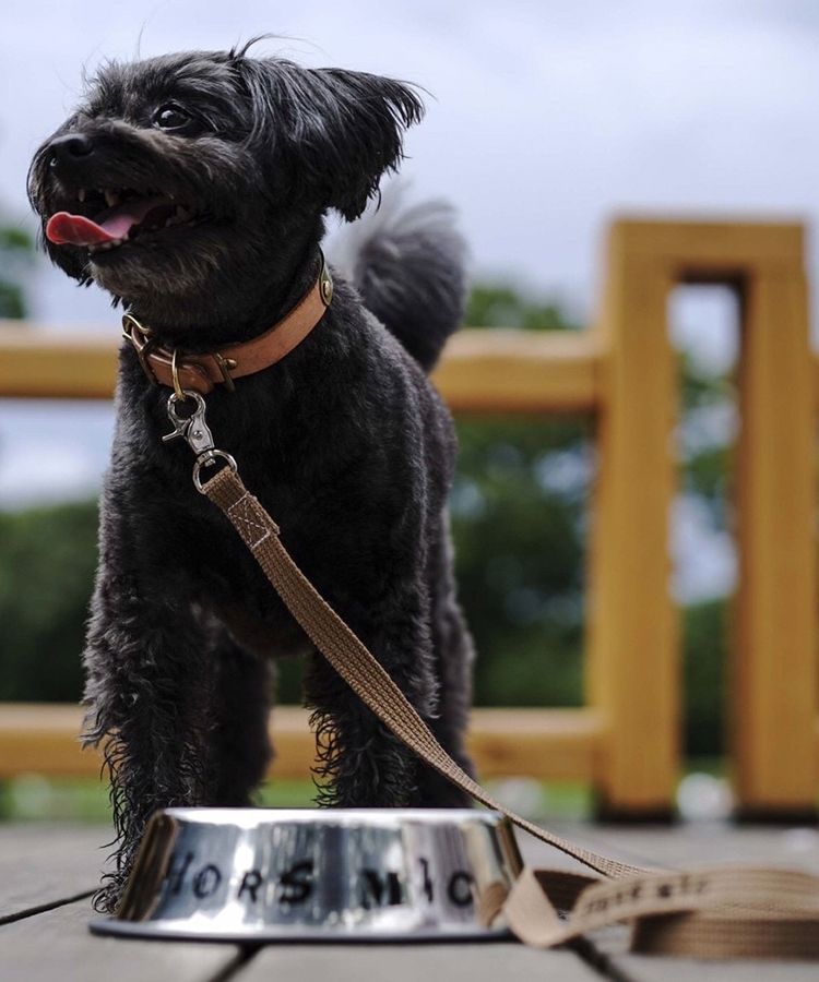 HORS MICオリジナルペットフードケース